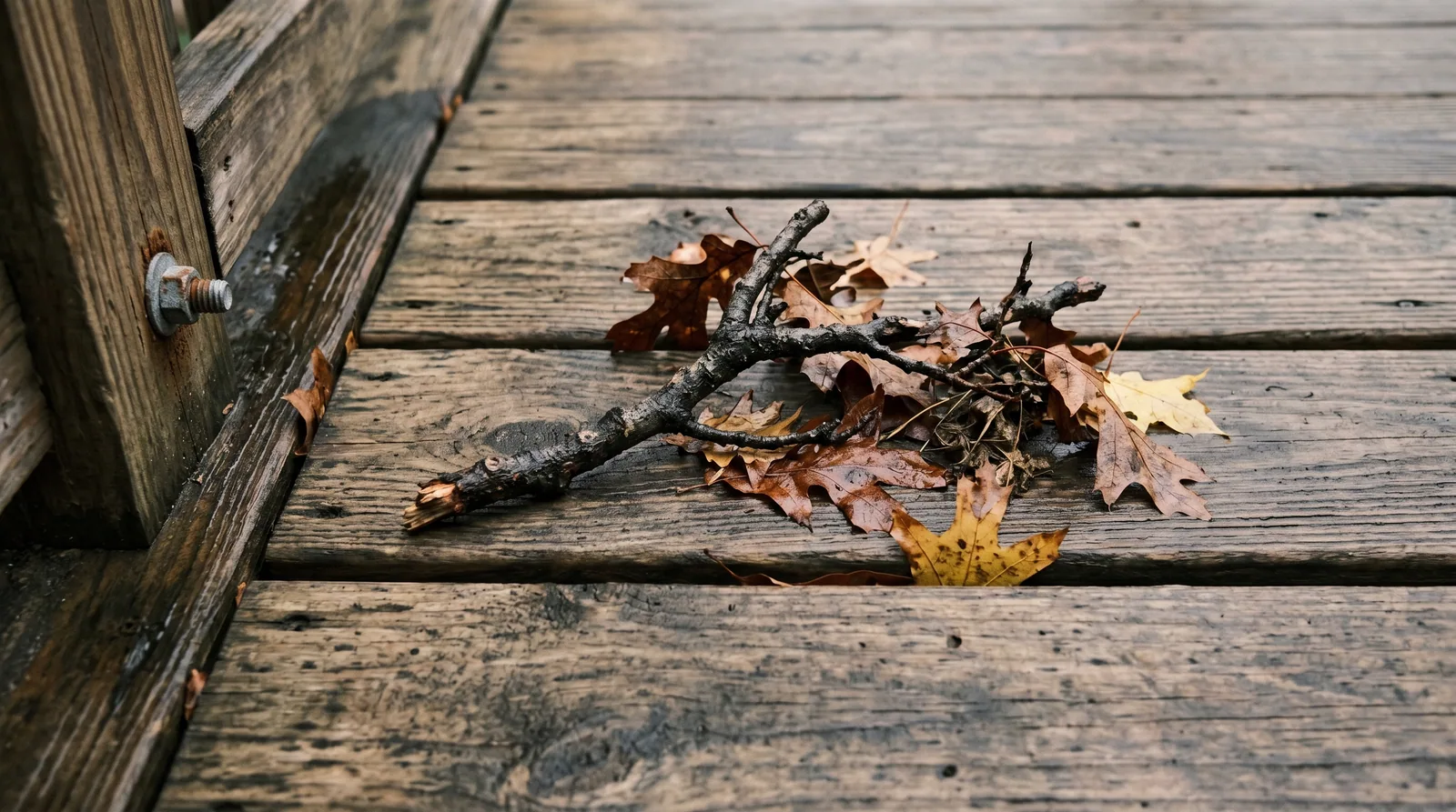 Close-up of weathered deck boards with a fallen branch and storm debris, showing surface condition after tree impact for insurance assessment